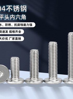 304不锈钢内六角超薄扁平头螺丝钉笔记本数码螺栓M2-M6 A054