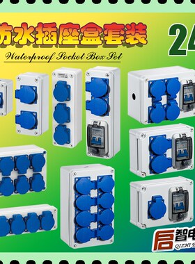 户外防雨水插座三孔工业家用明装多功能室外插座盒电动车充电电源