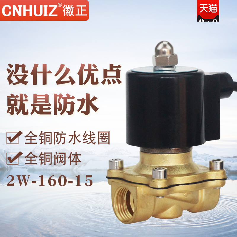 2A-/2W-160-15防水电磁阀 DN15电磁水阀 4分跑泉水下排水阀AC220V