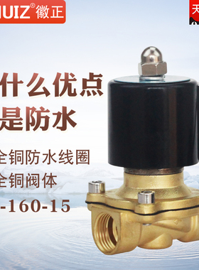 2A-/2W-160-15防水电磁阀 DN15电磁水阀 4分跑泉水下排水阀AC220V