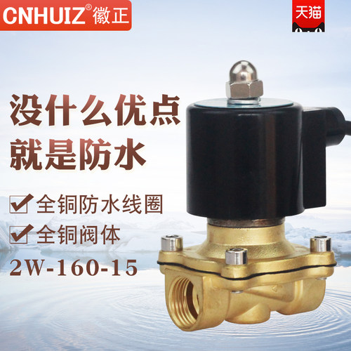 2A-/2W-160-15防水电磁阀 DN15电磁水阀 4分跑泉水下排水阀AC220V