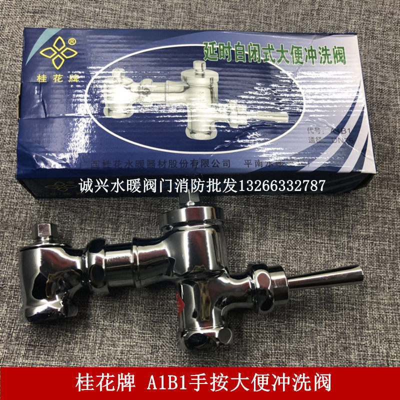桂花牌A1B1 铜大便冲洗阀手按式 卧式厕所蹲坑蹲便器手动冲水阀