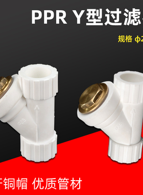 PPR过滤器Y型4分20 6分25PPR水管过滤器家用管材管件铜牙管帽配件