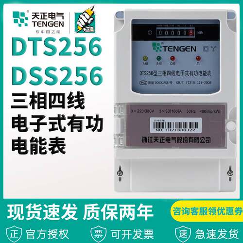 浙江天正电气电子式电能表DTS256/DSS256型三相四线单相