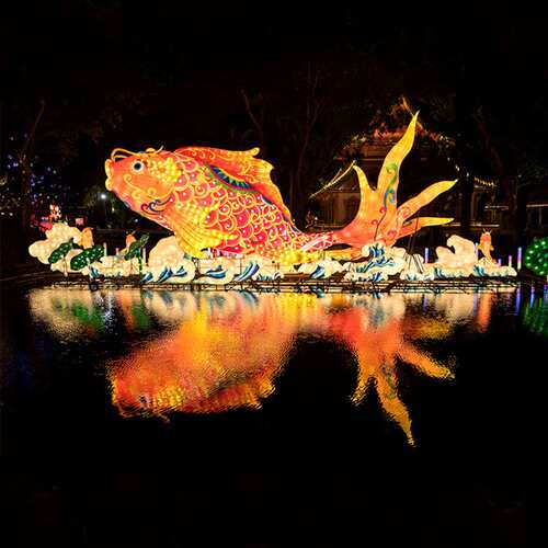 动物大型花灯鲸鱼打造海洋春节元宵节彩灯中秋节灯展2025蛇年灯组