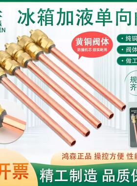 鸿森加氟单向阀HS-110 冷媒雪种充注阀加氟嘴 加厚加长加液阀针阀