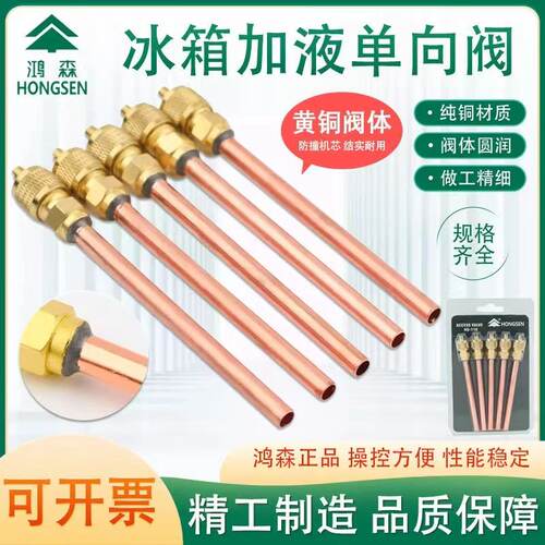 鸿森加氟单向阀HS-110加氟嘴