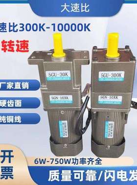 大速比低转速慢速15w25w40W120W90W300W调速马达马达300K1000K