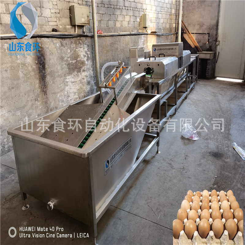 鸭蛋清洗机 小型鸡蛋清洗机 鹌鹑蛋清洗设备 洗蛋机价格