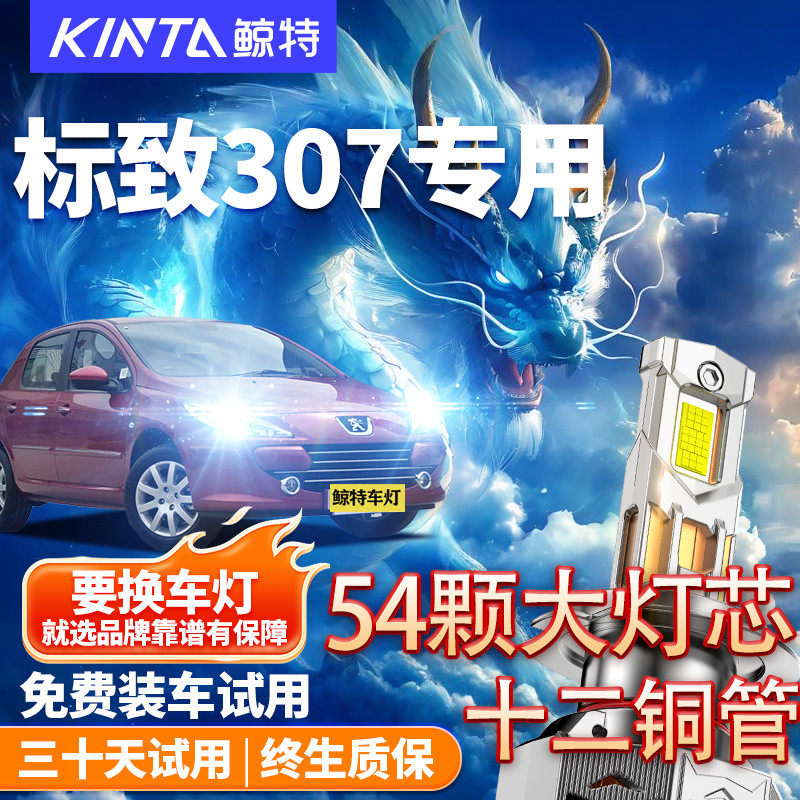 04-13款标致307专用LED前大灯近光灯远光灯强光车灯超亮白光灯泡