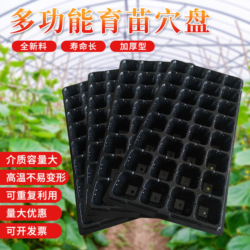 扦插育苗盒加高加深72孔多肉育苗框菜苗育苗盘营养鉢托盘苗木培育