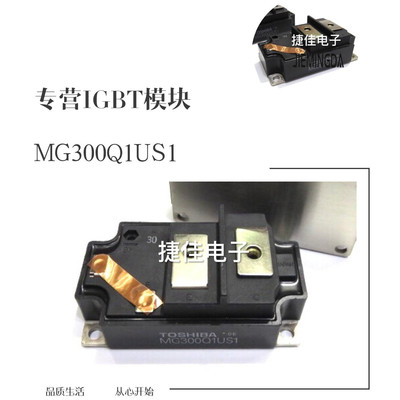 MG300Q1US1 MG300Q1US51 MG300Q1US41 MG300Q1US40 MG200Q1US1