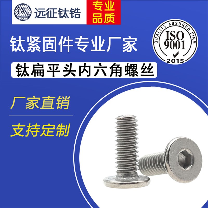 远征钛合金TA2超薄头内六角大平头CM头扁平C头极低头内六角螺丝M4