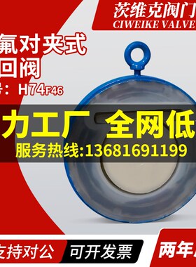 上海茨维克H74F46衬氟对夹式止回阀旋启式四氟密封耐腐蚀逆止阀