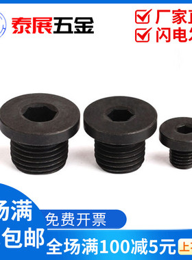 内六角带垫油塞4.8级M8-48公制JB1001细牙油塞内六角喉塞螺塞堵头