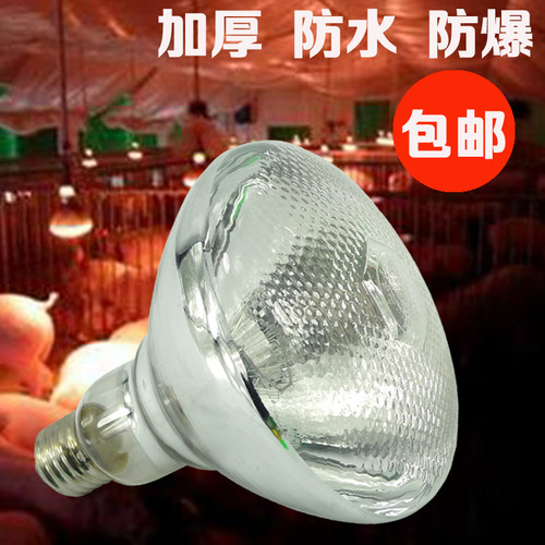 防水防爆红外线保温灯泡 麻面硬质畜牧专用保温灯泡 仔猪保温设备