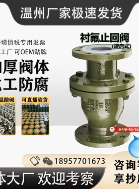 H44F46-16C 衬氟旋启式止回阀 止逆阀 止逆阀H41 H42 化工厂专用