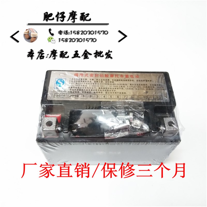摩托车珠峰ZF125T-7 欧霸125欧洲霸王 马杰斯特125马车 电瓶 电池