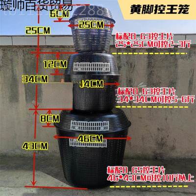 脚葫芦蜂控王笼黄防天防敌逃笼马胡蜂野化放养定点蜂养无品牌/殖