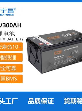 12V300AH铅酸替电池磷酸铁锂太阳能光伏房车基站储能电池容量