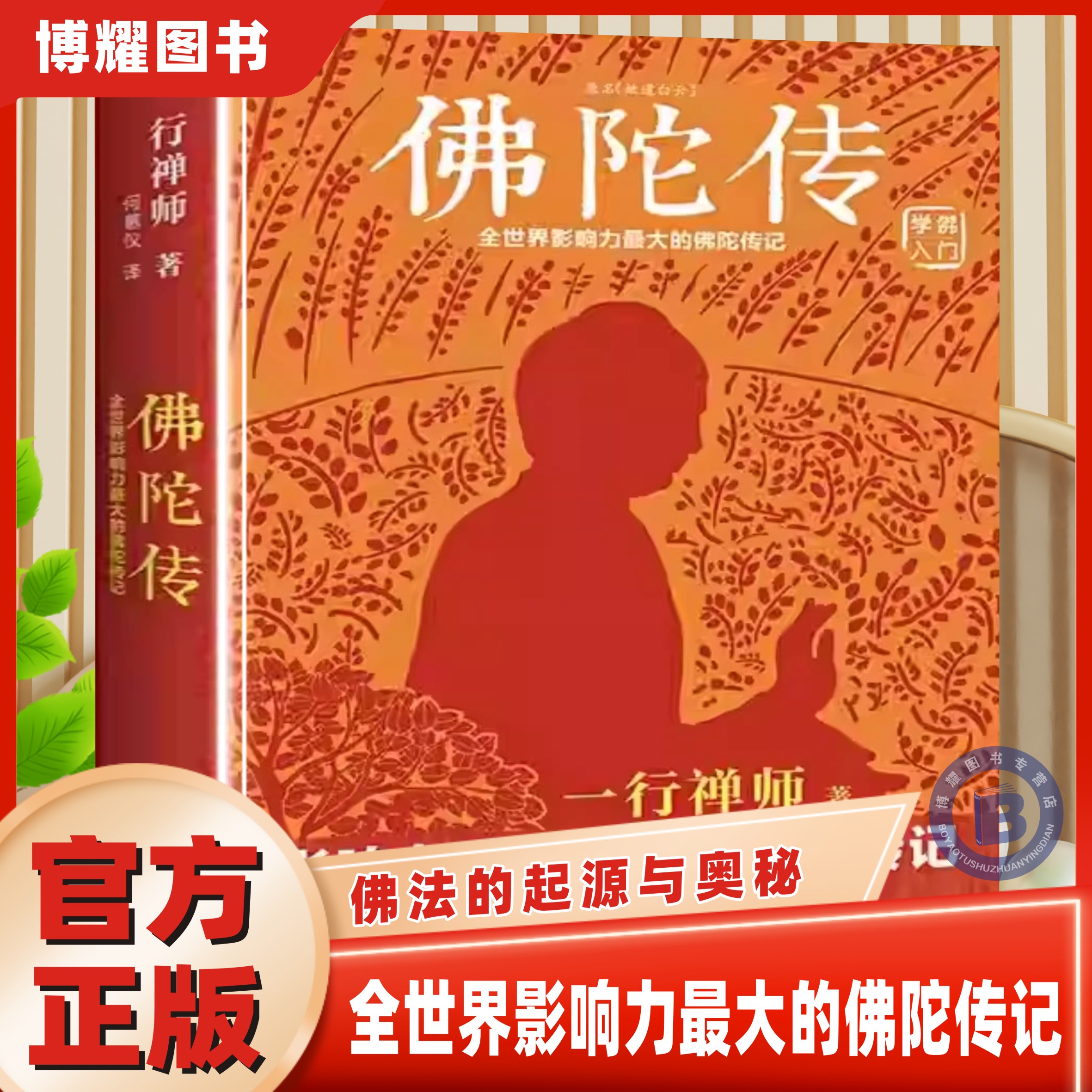 爱好者入门书佛法起源与奥妙正念