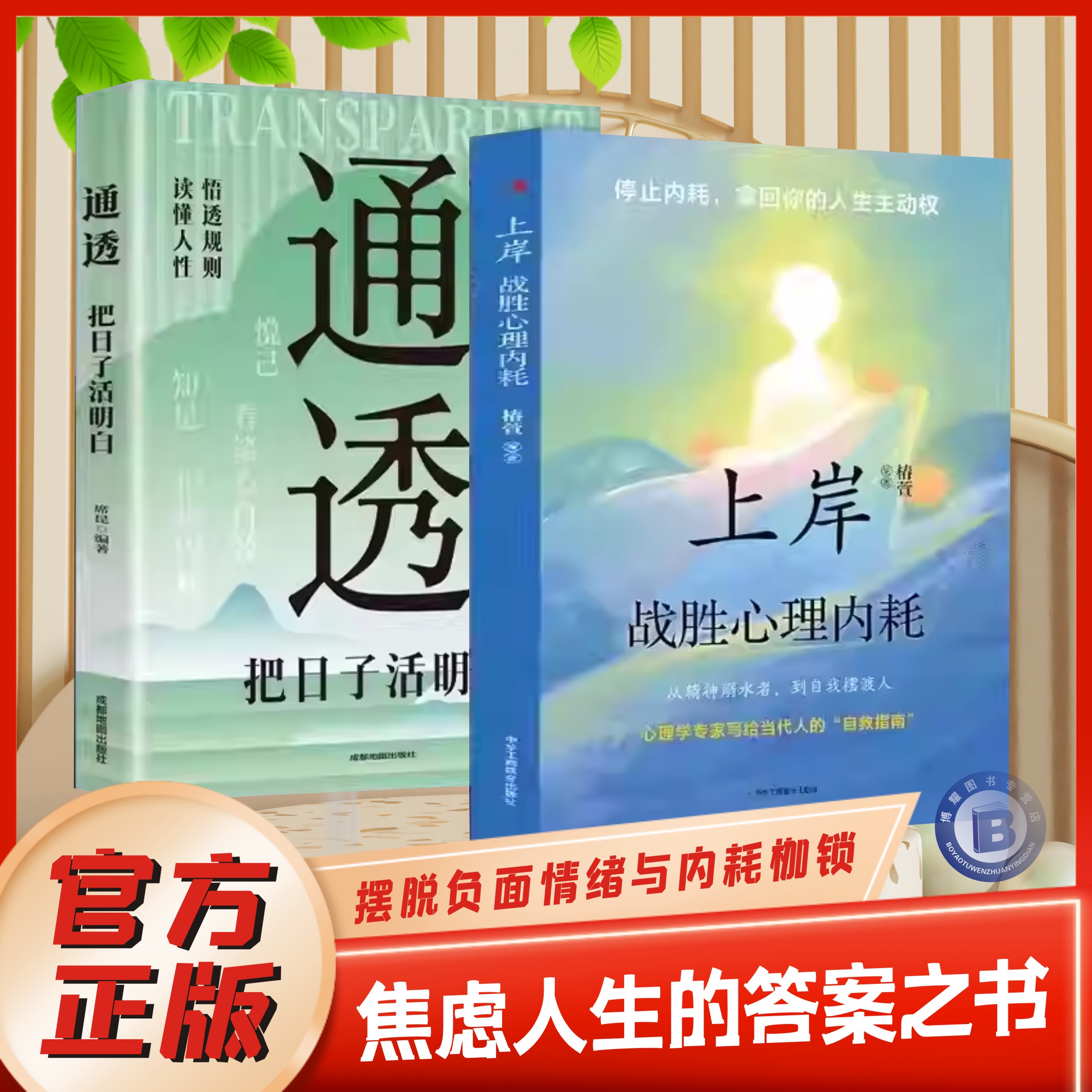 上岸战胜心理内耗自我书籍