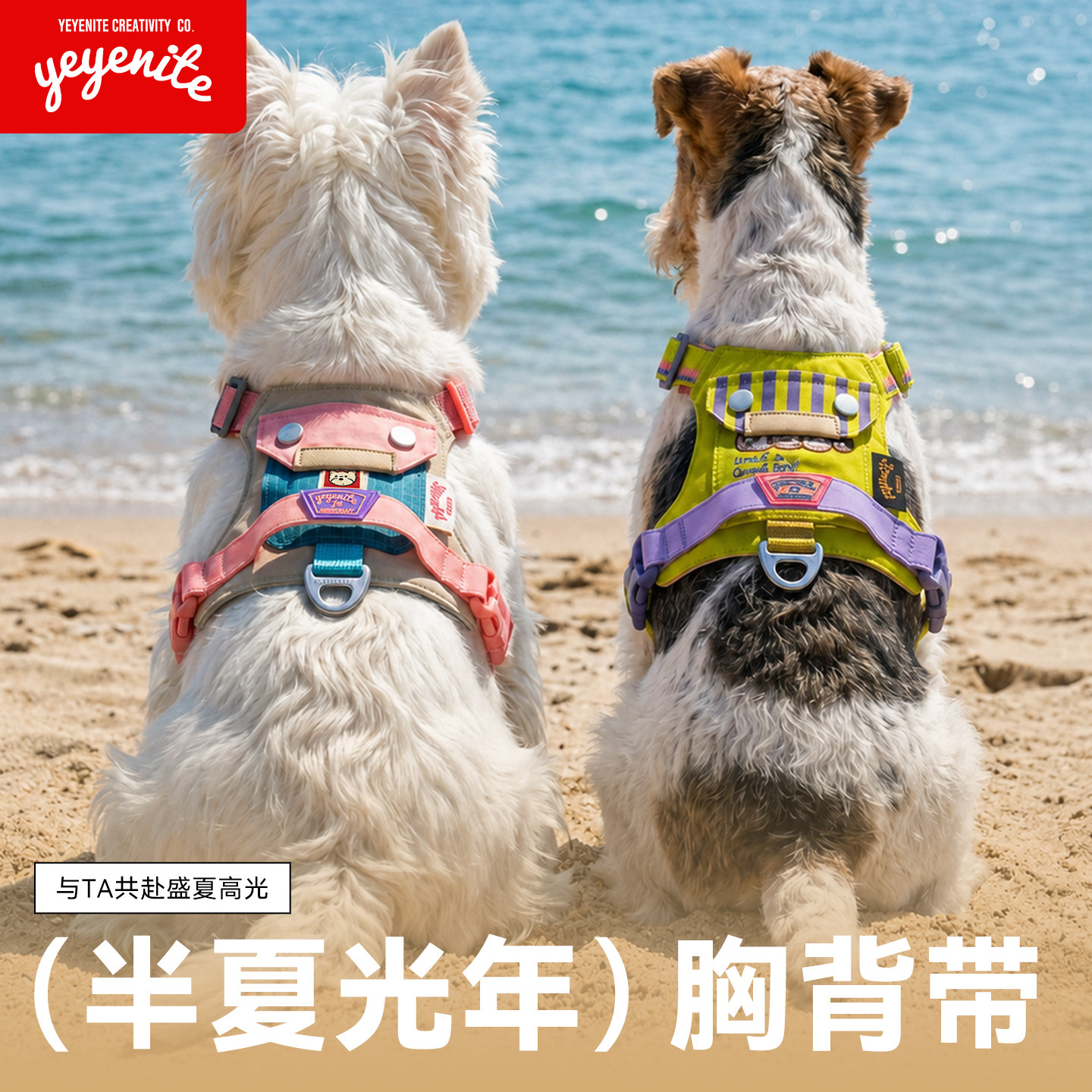 yeyenite椰椰家胸背式宠物牵引绳2026新款夏天小中型犬背心遛狗绳图片