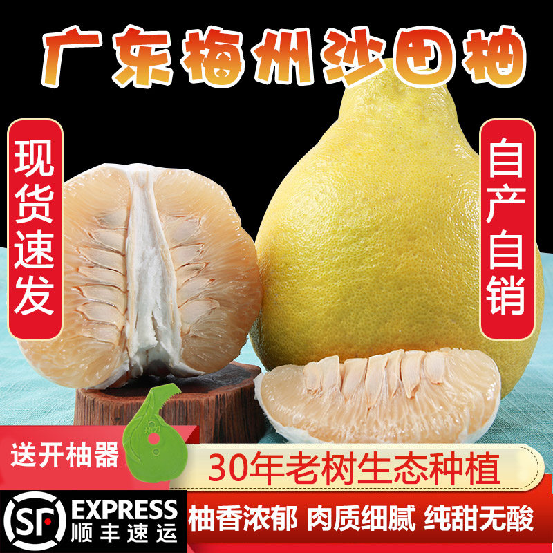 【大中小任选】老树正宗梅州沙田柚子甜柚客家特产非白肉蜜柚