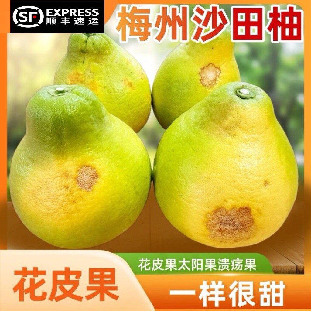 纯甜花皮老树沙田柚,很丑但很甜