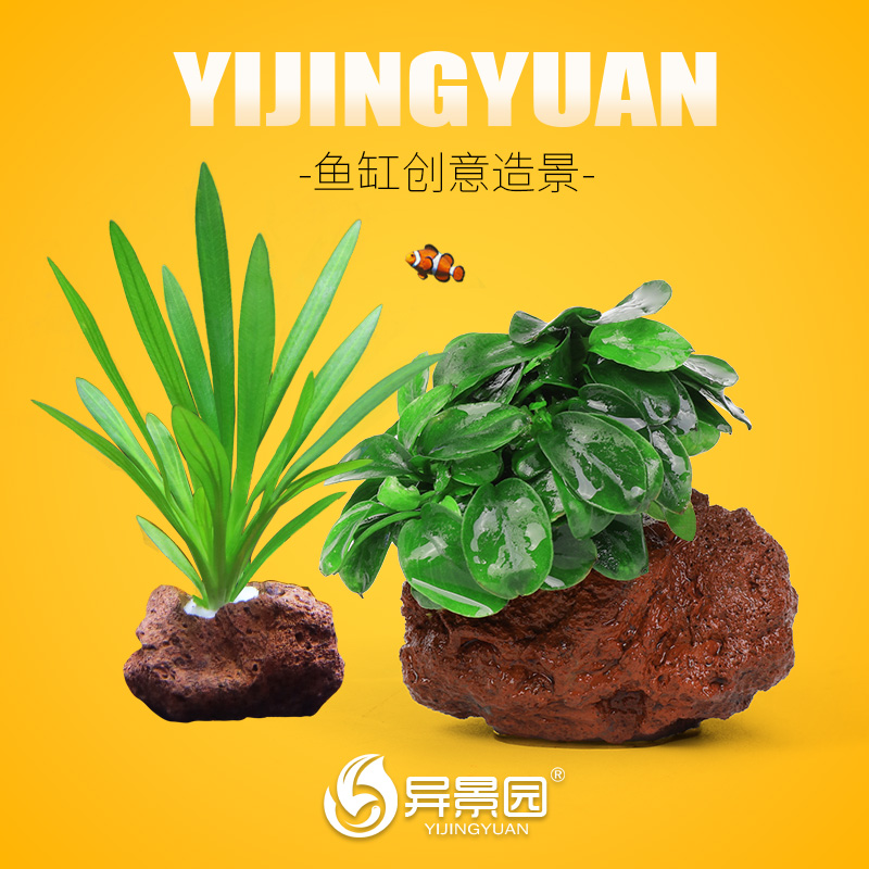 水草植物鱼缸造景套餐阴性水榕蜈蚣草水兰真草火山石懒人水草装饰