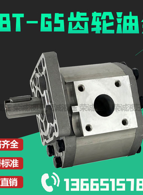 液压齿轮油泵CBTG520 G525 G532 G540 G550 G563 G580BFHL BFPR