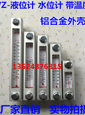 液位计 油位计 水位计 YWZ-100T YWZ-150T YWZ-200T YWZ-250T油标