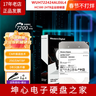 WD/西数HC580 WUH722424ALE6L4 24TB企业级机械硬盘垂直记录cmr t