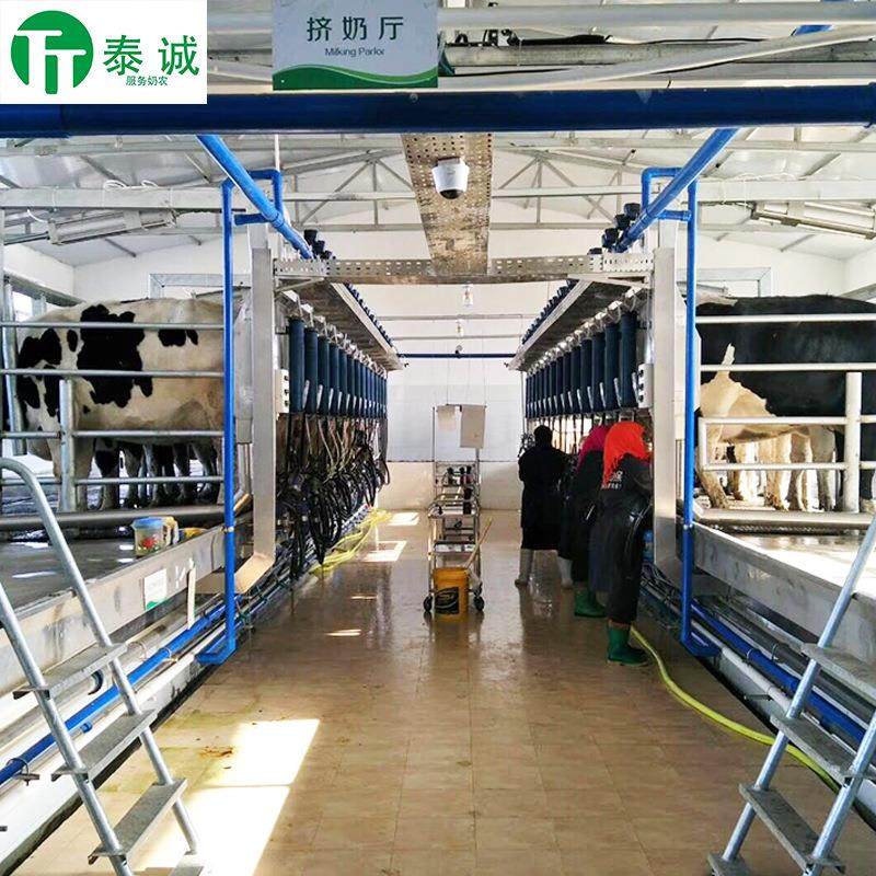 阿菲金挤奶厅快放式挤奶台厂家直销（本店铺产品需详询后下单）,农机/农具/农膜,农用防护器具,淘宝优惠券,粉丝福利购,淘宝优惠卷