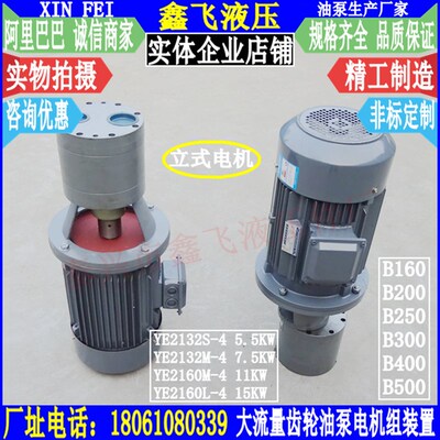 CB/TXCB/LWBZ-B160JZ/160大流量齿轮油泵电机组装置斜齿LBZ TXLB