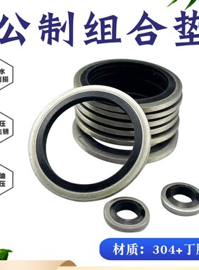 JB982-77组合垫圈304不锈钢丁腈NBR内径6-60mm/O型圈油封组合垫片