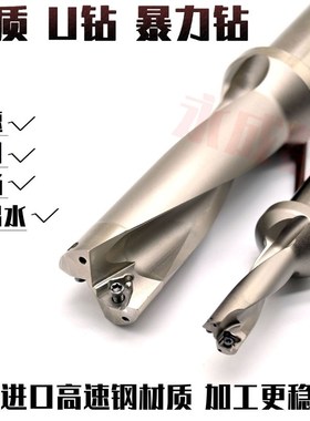 5倍径 高速 快速钻 U钻 暴力喷水浅孔钻头 配WC/SP刀片