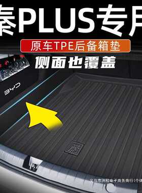 洌程用于比亚迪秦plusdmi后备箱垫全包25款秦plus ev尾箱垫出行版