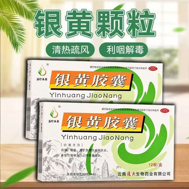 滇珍本草 银黄胶囊 清肺化痰止咳平喘支气管炎喘肺热清热解毒中药