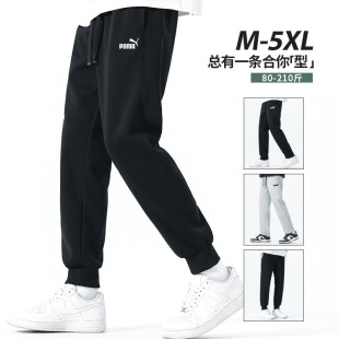 奥莱清仓！纯棉卫裤+加绒可选【带芸险】