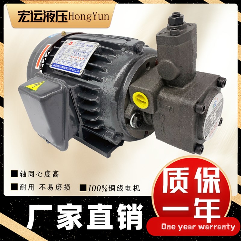 液压油泵电机组VP20+0.75KW1.5液压帮浦总成内轴电机液压站配件系图片
