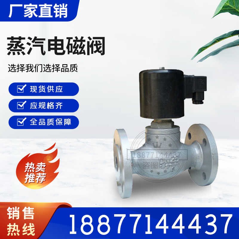 泰科沃茨中核苏阀正丰 埃美柯双恒不锈钢法兰电磁阀ZBSF-16P