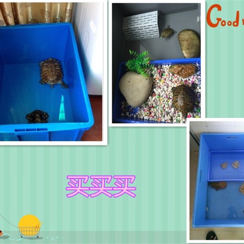 加厚周转箱 养鱼养龟箱 养殖筐零件箱  物流箱 电子箱 塑料乌龟缸