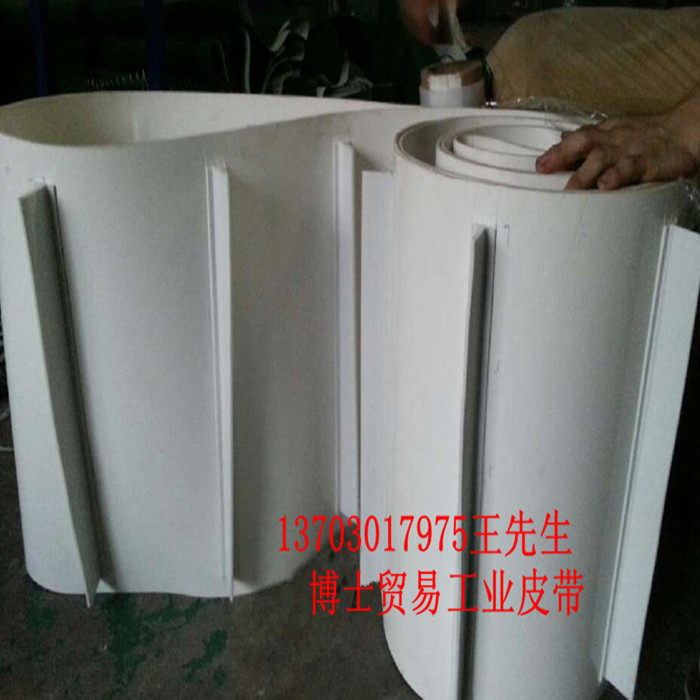专业加工:白色轻型食品无毒挡板挡边隔板工业皮带提升机输送带