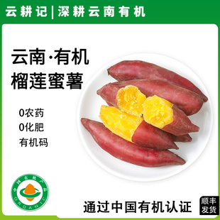 云南有机榴莲蜜薯新鲜现挖红薯香甜软糯小地瓜番薯粗粮辅食蔬菜