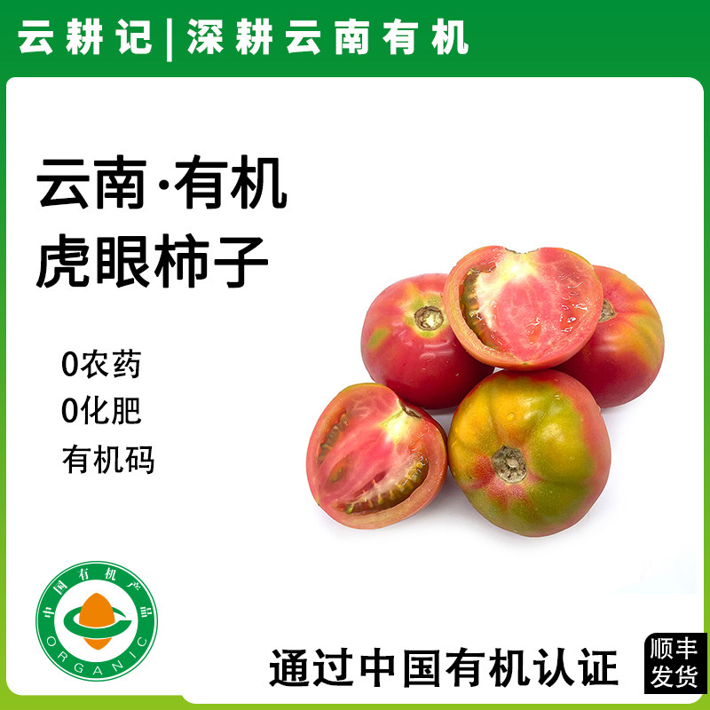 云南有机番茄新鲜现摘虎眼西红柿