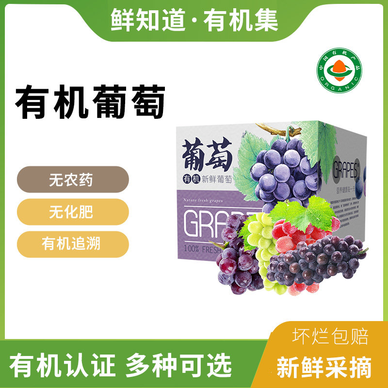 有机葡萄新鲜现摘巨峰多品种可选