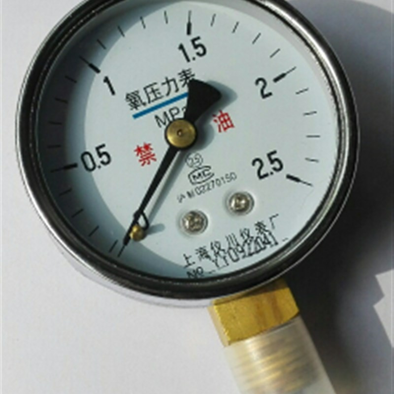 氧压力表 氧气压力表 氧气表 氧气 禁油 YO-60 0~2.5mpa 60MM
