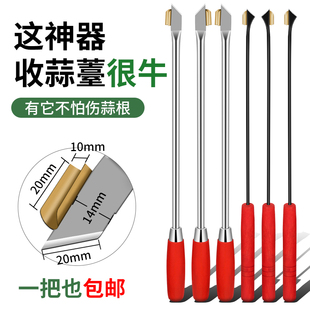 蒜苔收割刀拔蒜苔工具蒜薹刀加长不锈钢抽蒜苔打蒜苔划剥蒜苔神器