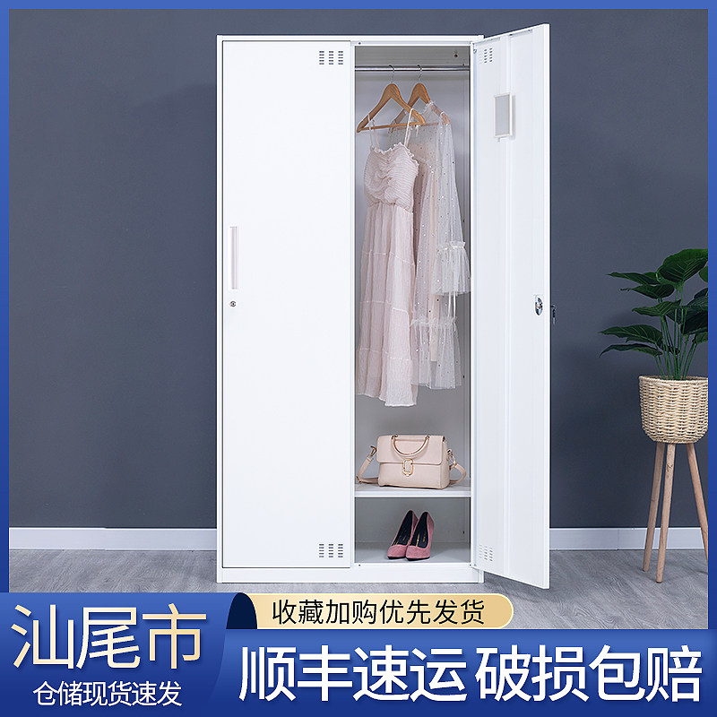 汕尾加厚办公钢制拆装文件柜套色铁皮更衣柜家用书柜定制矮柜带锁